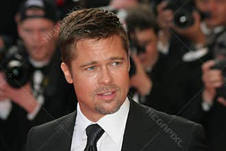 Actor Brad Pitt