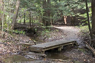 Wooden bridge on trail, Ash Cave, Ohio