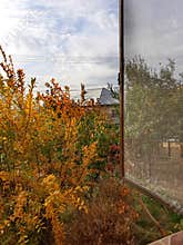 Fall window view
