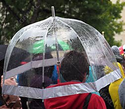 Girl With Clear Plastic Umbrella In Rain Shower