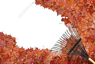 Raking leaves