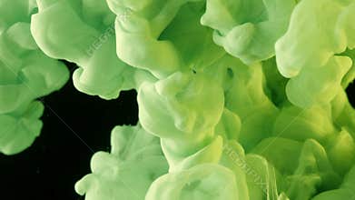 Light green paint mixing in water. Cloud of silky salad colour ink swirling underwater. Abstract smoke explosion can be