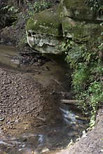 Stream with movement by rock