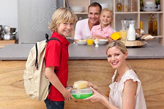Attentive mother packing the school lunch