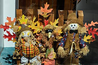 Scarecrow Decoration with Leaves and a Crow