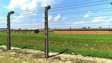 Wired fences of concentration camp