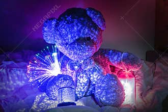 Teddy Bear with Ornamental lights and star lights in bed.