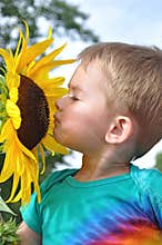Sunflower and boy