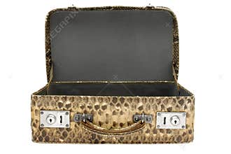 Snakeskin Bag w/ Path