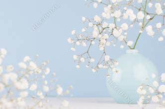 Gentle elegant bouquet of small flowers in ceramic circle bowl on soft pastel blue background.