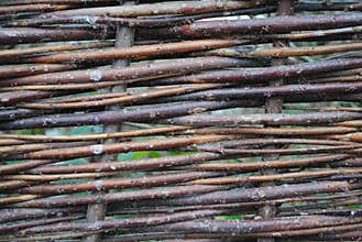 Wicker fence