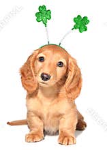 St Patricks day