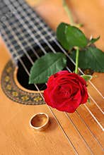 Classical Guitar & Red Rose