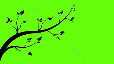 Animation of branch vegetate.