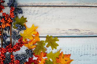 Fall berry and maple leaves foilage autumn arrangement on a blue