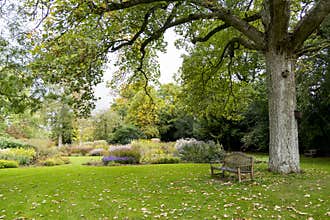 Bressingham Gardens - west of Diss in Norfolk, England - United