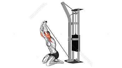 Cable kneeling triceps extension exercise