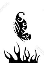 Black and white butterfly over flame