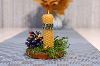 A Christmas candle in the exposition with a pine cone and juniper twigs on a cherry cut. PNG.