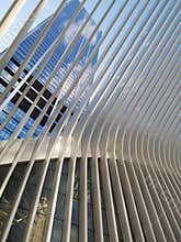 New York perspectives