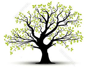 Vector decorative tree and green leaves
