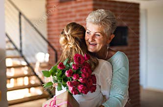 Happy adult daughter hugging senior mother indoors at home, mothers day or birthday celebration.