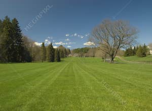 Clipped Lawns