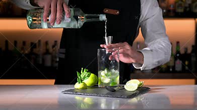 Barman preparing mojito cocktail