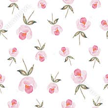 Watercolor botanical seamless pattern pink flowers. Hand drawn rose on white. Floral elements. For birthday, wedding