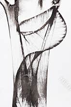 Abstract brush painting