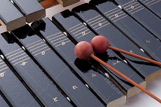 Xylophone