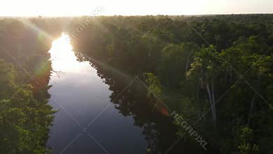 Scenic sunrise at amazon tropical rainforest with vivid fog at the river