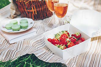 Plastic free picnic lunch outdoors with delicious food - strawberries and macaroons, wine glasses