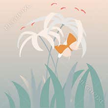 Blooming white lily with butterfly