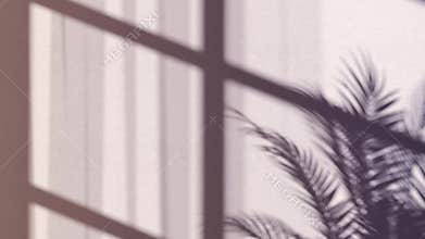 Game of shadow animation blend effect in room, looped switch