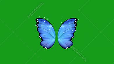 Fluttering butterfly wings green screen motion graphics