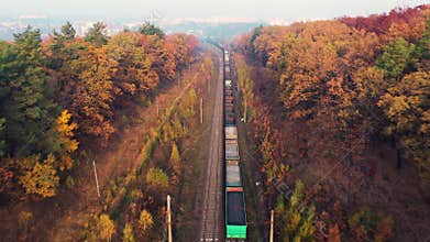 Freight train in beautiful forest in fog at sunrise in autumn