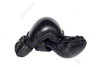 MMA Gloves