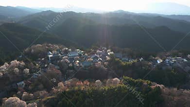 Sakura Blooming at Yoshino Mountain, Aerial Pan Establishing Shot 4k