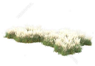 Green surface covered with wild grass and meadow