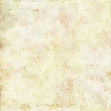 Vintage shabby chic green rose background texture