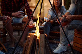 Friends sitting by the bonfire in the evening