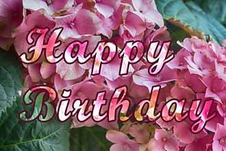 Happy Birthday greetings pink flowers background