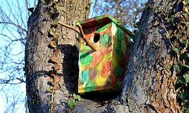 Clean and inspect the birdhouse before each placement. Place dry booths without defects on a tree or elsewhere where desired. beek