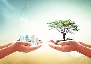 Hands Holding City And Tree Symbol Of Balance Between Urban Life And Nature
