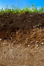 A cut of soil