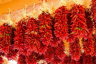 New Mexico Chilies Peppers