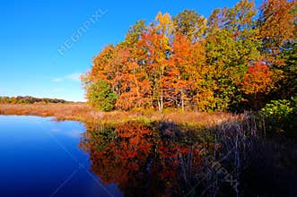 Autumn