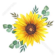 Watercolor sunflowers bouquet, hand painted sunflower bouquets, sunfower flower arrangement. Wedding invitation clipart elements.