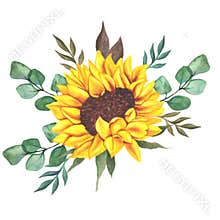Watercolor sunflowers bouquet, hand painted sunflower bouquets, sunfower flower arrangement. Wedding invitation clipart elements.